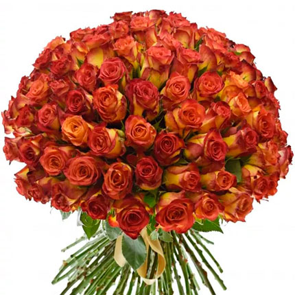 101 roses Catch (Kenya)  - buy in Ukraine