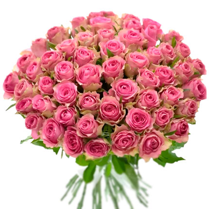 51 рожева троянда Shiary (Кенія) – від Flowers.ua