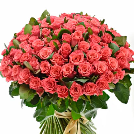 101 троянда Pink Tacazzi (Кенія)  - придбати в Україні