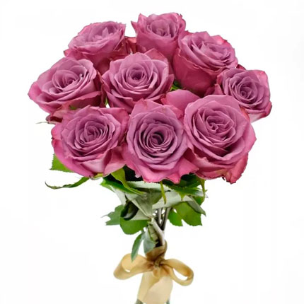 9 roses Maritim (Kenya) – from Flowers.ua