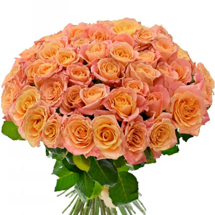 51 роза Мисс Пигги (Кения) – от Flowers.ua