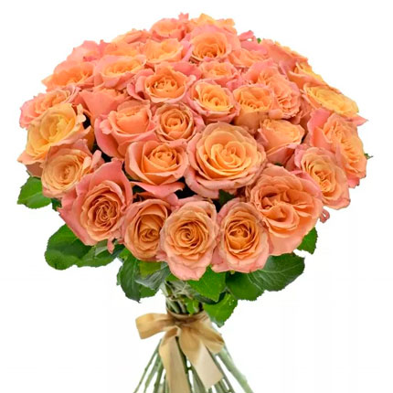 35 roses Miss Piggy (Kenya)  – buy in Ukraine