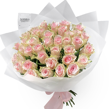 35 Pink Athena roses  – buy in Ukraine