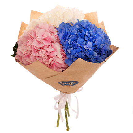 Bouquet "Cotton candy!" – from Flowers.ua
