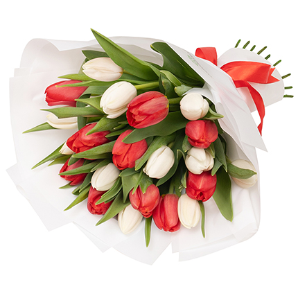 Букет "21 білий та червоний тюльпан"  – придбати в Україні