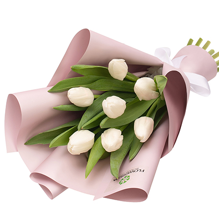 7 білих тюльпанів  – придбати в Україні