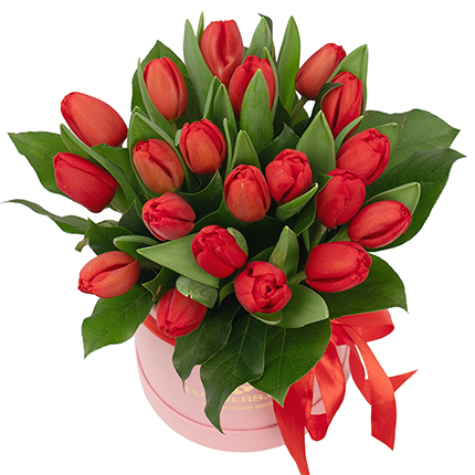Квіти у коробці "19 червоних тюльпанів"  – придбати в Україні