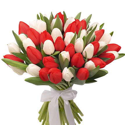 Букет "51 білий та червоний тюльпан"  – придбати в Україні