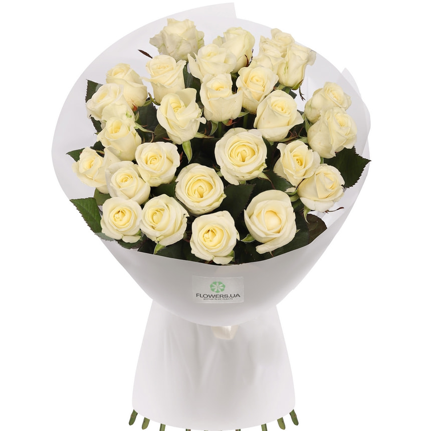 25 white roses bouquet