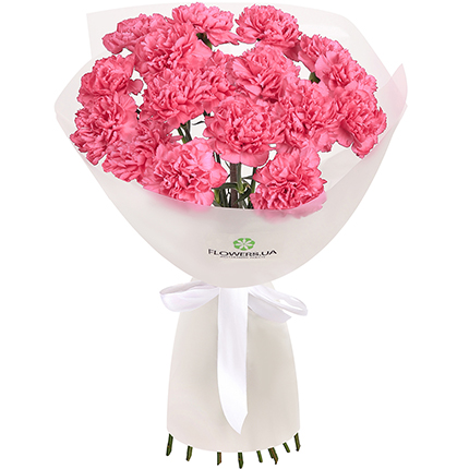 "Flamingo" bouquet of 17 pink carnations  – buy in Ukraine