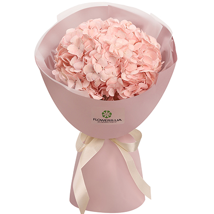 "Pink Cloud" bouquet  – buy in Ukraine