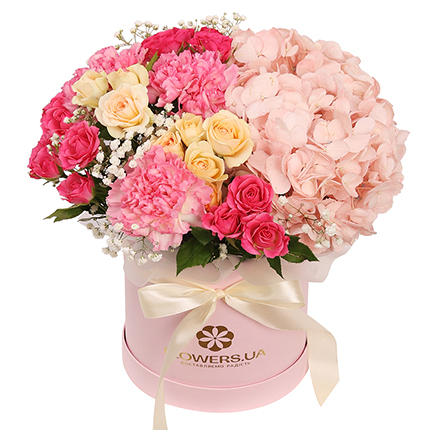 Квіти в коробці "Соломія Крушельницька"  – придбати в Україні