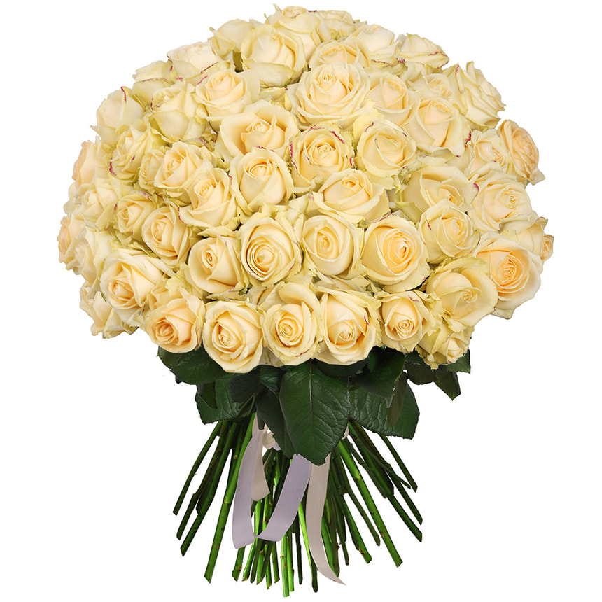 51 cream roses bouquet