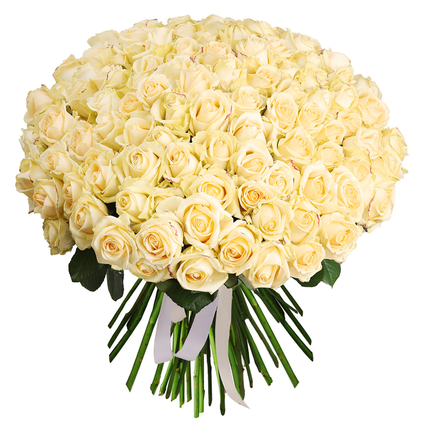 101 cream roses bouquet