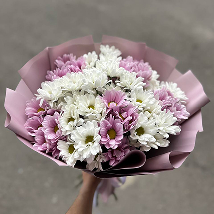 Special Offer! 11 white and pink chrysanthemums  – buy in Ukraine