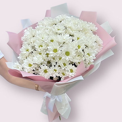 Special Offer! 15 white chrysanthemums  – buy in Ukraine