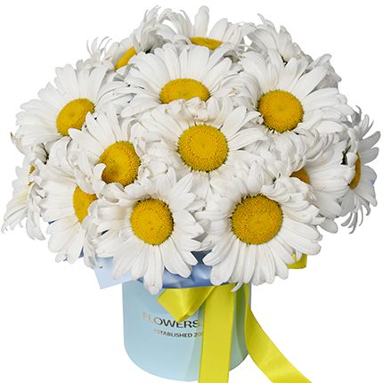 "19 sunny daisies" composition  – buy in Ukraine