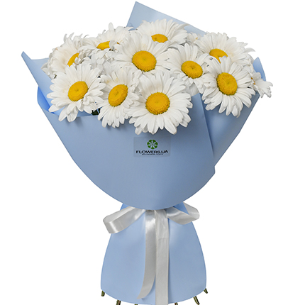 "19 daisies" bouquet  – buy in Ukraine