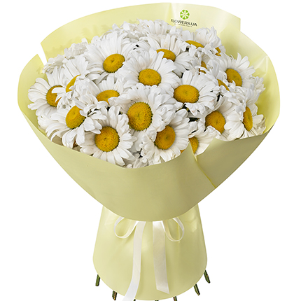 "25 daisies" bouquet  – buy in Ukraine