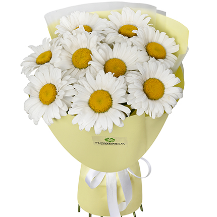 "9 daisies" bouquet  – buy in Ukraine