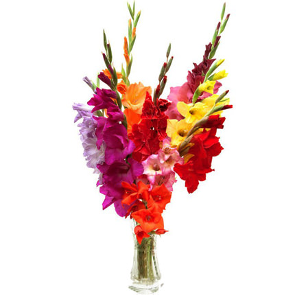 Bouquet "Fireworks" – from Flowers.ua