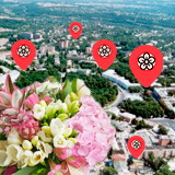 Цветочные магазины в Полтаве: свежие цветы недорого