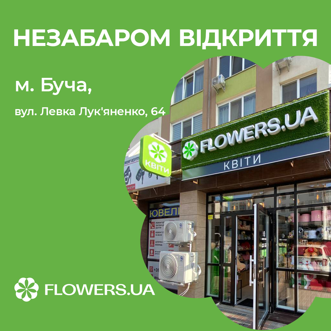 Магазин квітів FLOWERS.UA в місті Олександрія, Соборний проспект, 64
