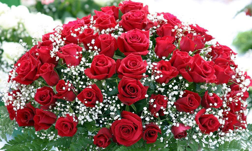 самые красивые розы подарок