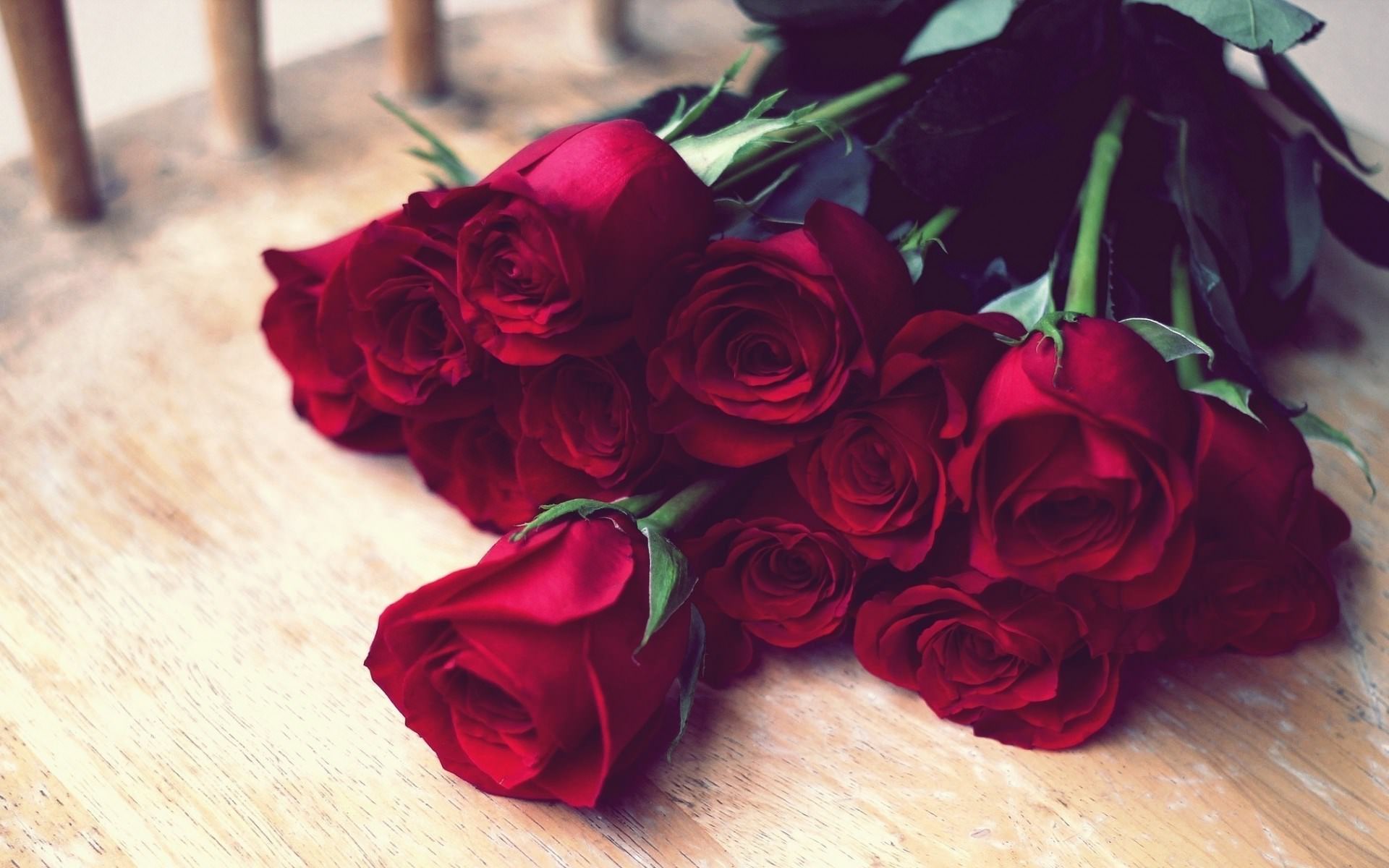 красные розы