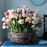Цветы на Пасху: выбираем весенние букеты к светлому празднику