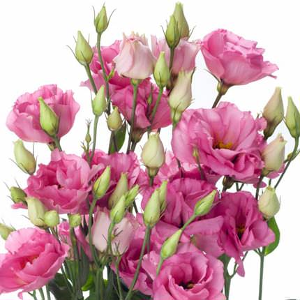 Romantic bouquet "Venice" - order with delivery