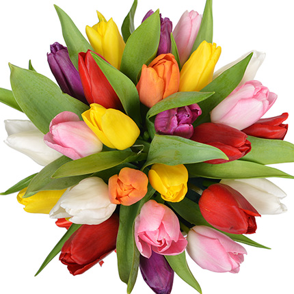 Flowers in a box "25 bright tulips" - order with delivery