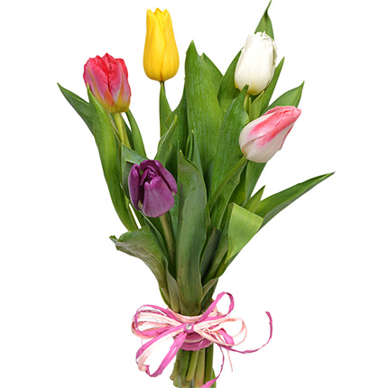 5 tulips (with teddy bear) – delivery in Ukraine