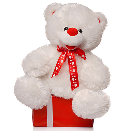 Bear 30 cm - order with delivery