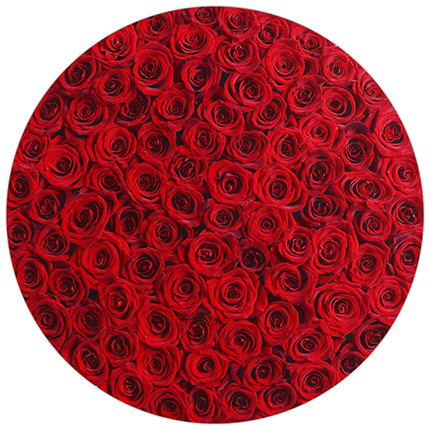 Квіти в білій коробці "101 червона троянда" – замовити з доставкою