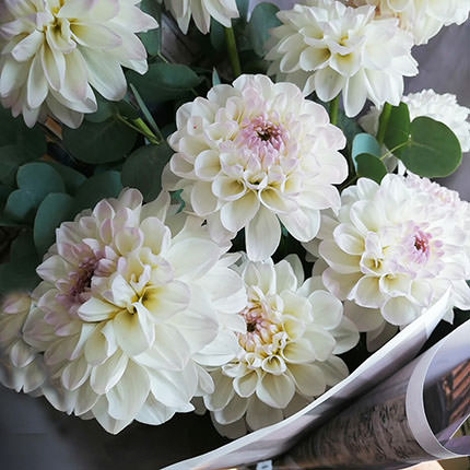 Bouquet "11 dahlias" - delivery in Ukraine