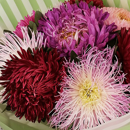 9 colorful asters - delivery in Ukraine