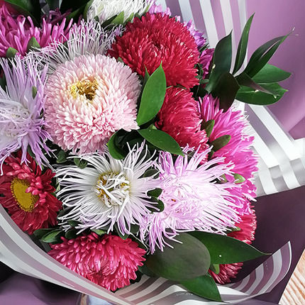 19 colorful asters – delivery in Ukraine