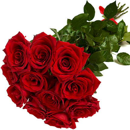 11 roses one meter high – order with delivery
