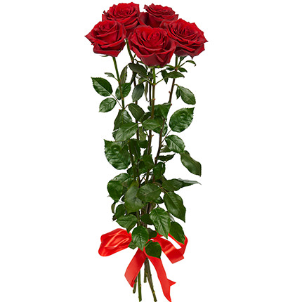 5 roses one meter high – delivery in Ukraine