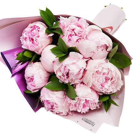 9 delicate peonies - order with delivery