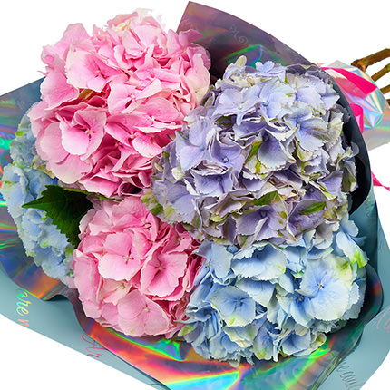 Bouquet "5 summer hydrangeas" - order with delivery