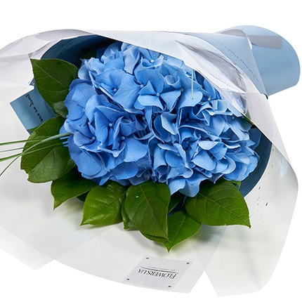 Bouquet "Whirlpool of your eyes!" + Raffaello – order with delivery