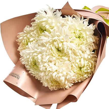7 white chrysanthemums – order with delivery