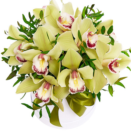 Flowers in a box "Magic orchids" - order with delivery