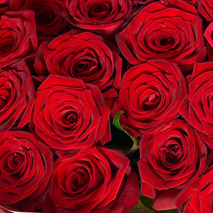 Букет "75 червоних троянд" – замовити з доставкою
