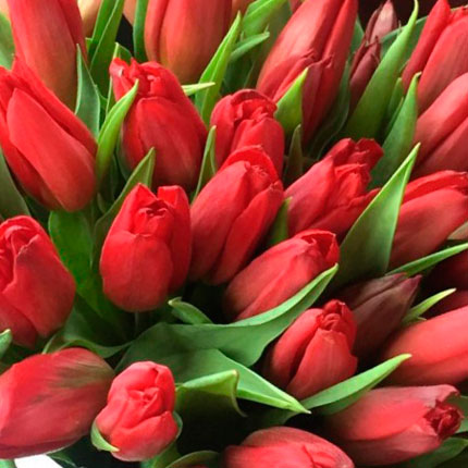 Квіти у коробці "39 червоних тюльпанів" - замовити з доставкою