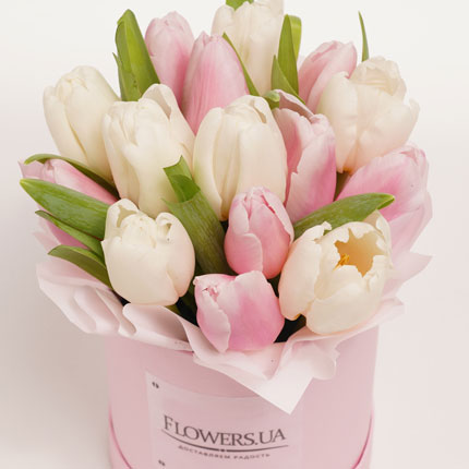 Composition in a box "15 tender tulips" - delivery in Ukraine
