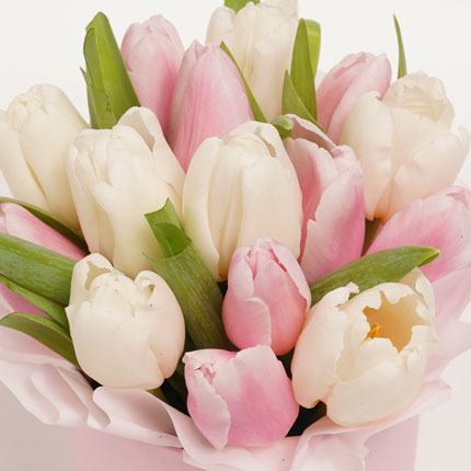Композиція в коробці "15 ніжних тюльпанів" – замовити з доставкою