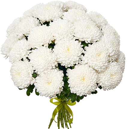 25 білих хризантем! - доставка по Україні